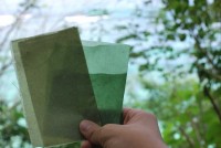 Bolsas con algas biodegradables
