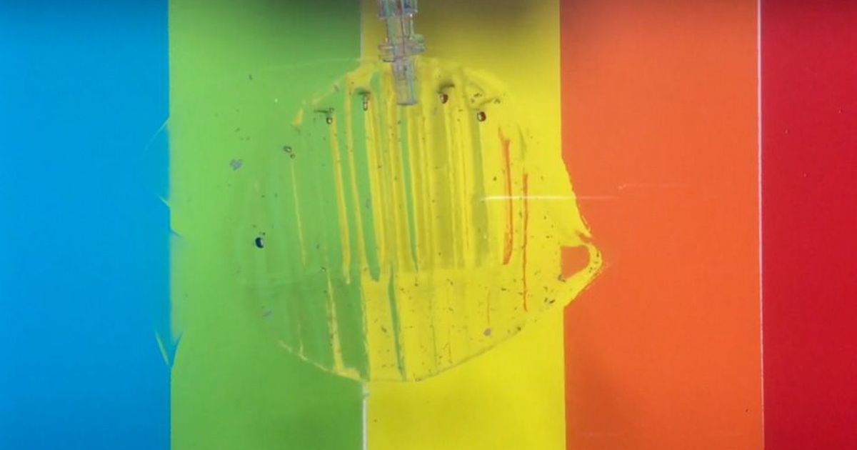 Robots de hidrogel para capturar y liberar peces vivos