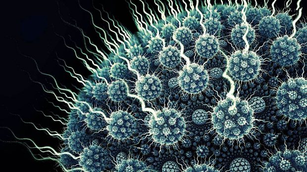 Se investiga una bacteria que fabricaría y se comería el plástico